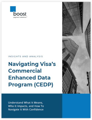 cedp ebook tilted (2)